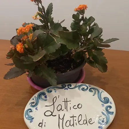 L'attico Di Matilde 4*